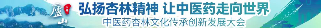 黑人考比片中医药杏林文化传承创新发展大会